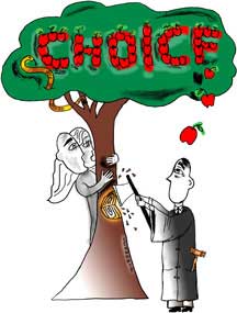 Chipping away at Choice