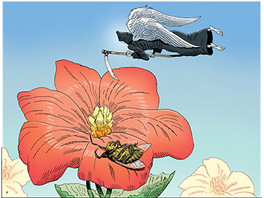 Bees dying environment food supply food chain global health