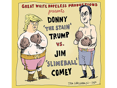 Trump boxing with Jim Comey