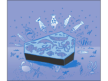Stricken Oceans evironmental problems pollution