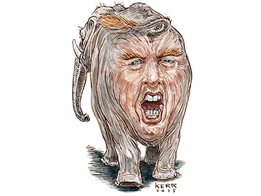 Trump candidate president GOP republican provocative right wing