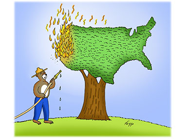 Western Forest Fires in USA drought global warming