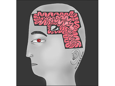 Gun violence mentally ill 
