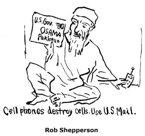Osama & Cells