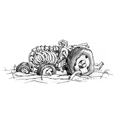 Stacks Image 66